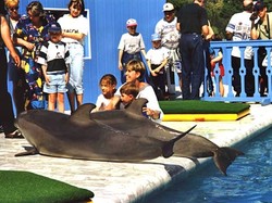 Экскурсия с детьми в дельфинарий