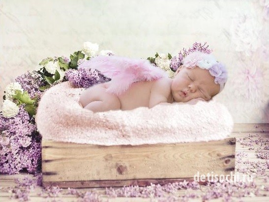 Фотограф новорожденных в Сочи
