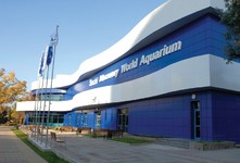 Океанариум «Sochi Discovery World Aquarium»