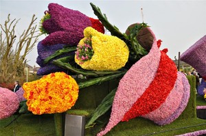 Цветочный фестиваль в Сочи