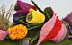 С 5 по 6 ноября в Сочи пройдет цветочный фестиваль