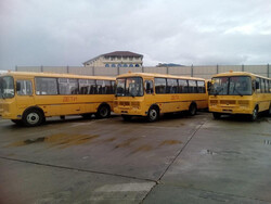 Школьные автобусы в Сочи