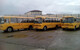 Семь новых автобусов пополнили школьный автопарк Сочи 